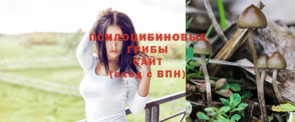 бошки Аркадак