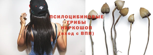 прущая мука Россошь