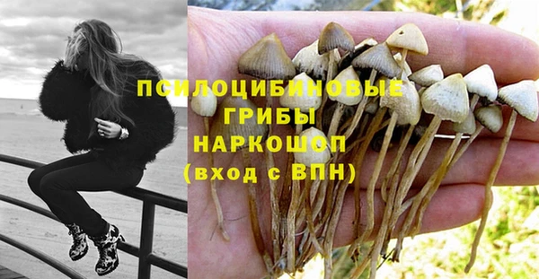бошки Аркадак