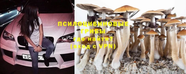 бошки Аркадак